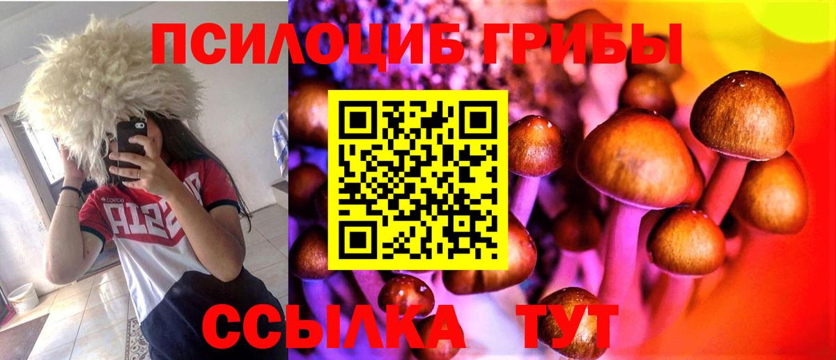Галлюциногенные грибы GOLDEN TEACHER  Галлюциногенные грибы прущие грибы  Коммунар  даркнет сайт  Вход с VPN 